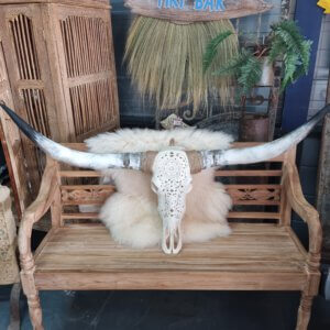 gegraveerde longhorn schedel - piota stoer wonen